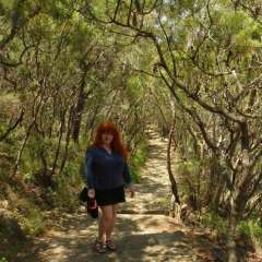 Blue Mountains