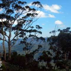 Blue Mountains
