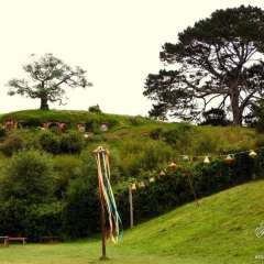 Hobbiton, New Zealand Party area