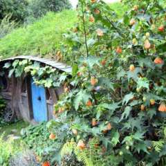Hobbiton, New Zealand