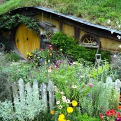 Hobbiton, New Zealand