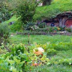 Hobbiton, New Zealand