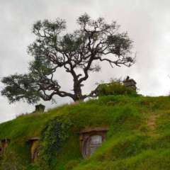 Hobbiton, New Zealand
