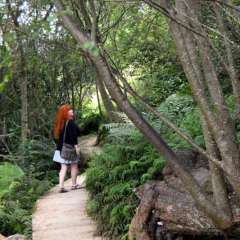 Hobbiton, New Zealand