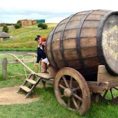 zHobbiton, New Zealand