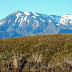 Tongariro Crossing, Taupo, New Zealand