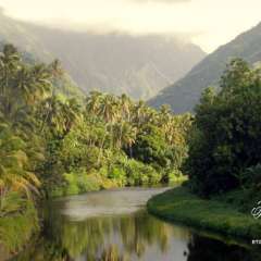 Tahiti river