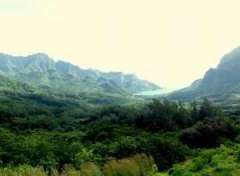 Belvedere Lookout - Beautiful views of Opunohu and Cook's Bay and Mt. Rotui