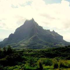 Belvedere Lookout - Beautiful views of Opunohu and Cook's Bay and Mt. Rotui