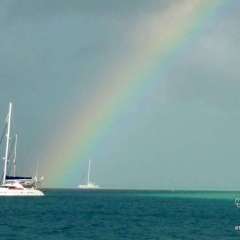 Sailing rainbows