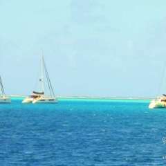 French Polynesia - our fleet