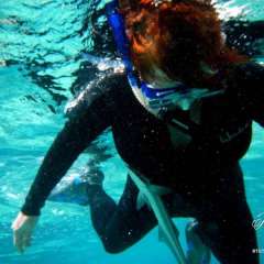 Huahine snorkel - pesky remora