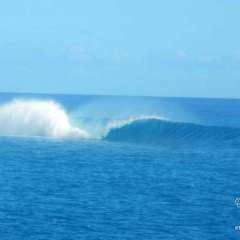 Raiatea classic surf break