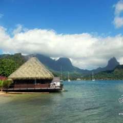 Our bungalow - Moorea