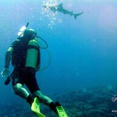 Huahine dive
