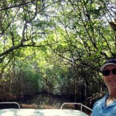 Everglades Mangrove tunnel