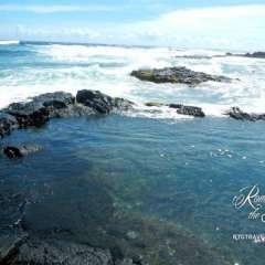 Hilo - Turbulent seas with a swimming hole