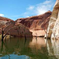 Lake Powell beauty