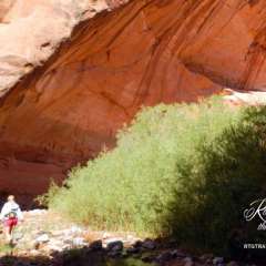 Lake Powell