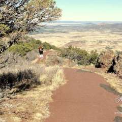 Capulin volcano path