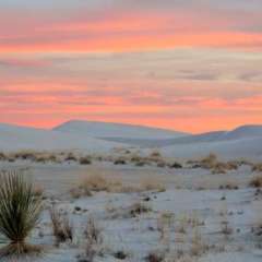 White Sands at Sunset