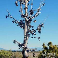Anyone know the story of this Shoe Tree?