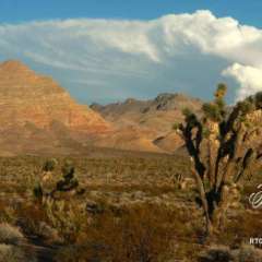 Scenic route to Mesquite