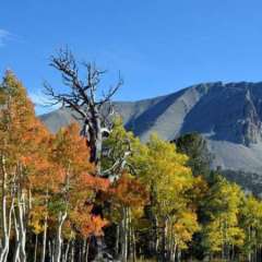 Wheeler Peak colors