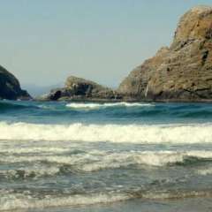 Waves 1