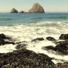 Waves 2
