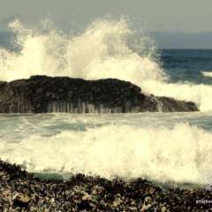 Waves 3