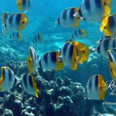 Huahine - French Polynesia