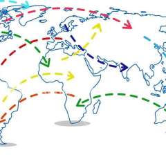 Map your route